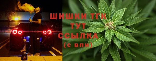 ПСИЛОЦИБИНОВЫЕ ГРИБЫ Алексин