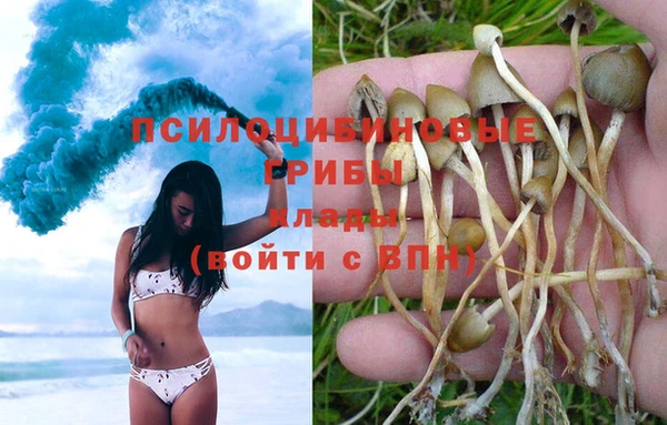 ПСИЛОЦИБИНОВЫЕ ГРИБЫ Алексин