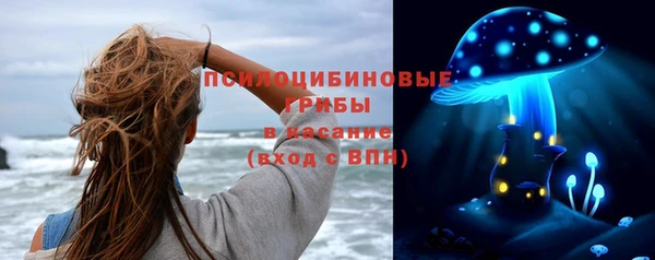 ПСИЛОЦИБИНОВЫЕ ГРИБЫ Алексин