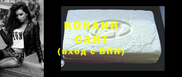 стаф Алзамай