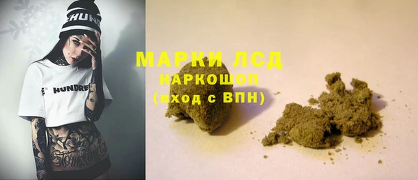 стаф Алзамай