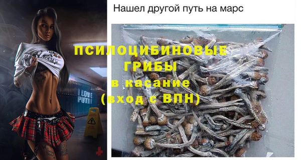 индика Алексеевка
