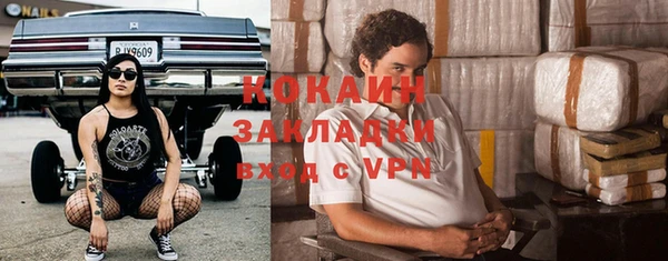 стаф Алзамай
