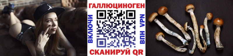 магазин продажи наркотиков  Амурск  Галлюциногенные грибы Psilocybe 